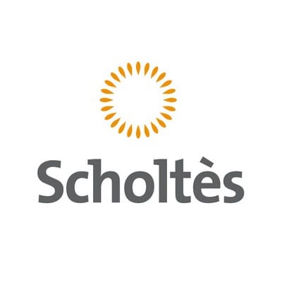 Scholtes image
