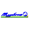 Megagroup Logo