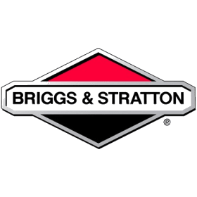 Briggs & stratton image