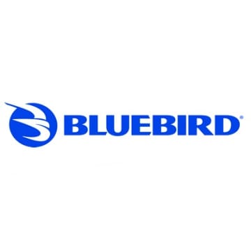 Bluebird image