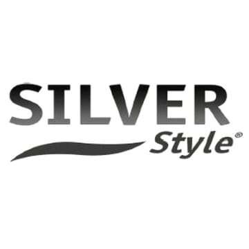 Silver style image