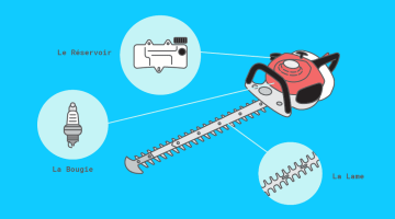 Comment faire l’entretien de votre taille-haie ?