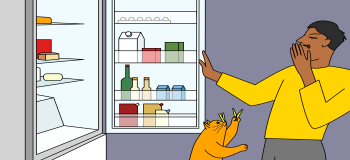 Pourquoi le frigo a une odeur nauséabonde ?