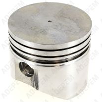 Piston standard