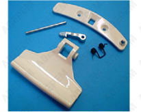 Asa de ojo de buey blanca