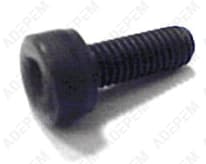 Vite di fissaggio del pattino