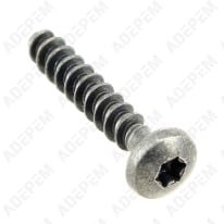 Vite di fissaggio del filtro 4x22