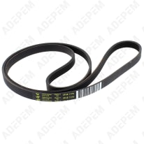 Cinturón 1178j5 = 5pje1178