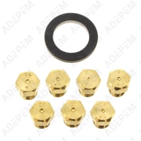 Inyectores de butano-propano 481931039347