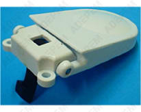 Asa de ojo de buey blanca