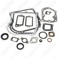 Kit de juntas de motor 298989