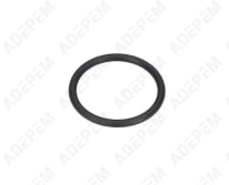 O-ring 1900210118