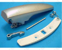 Asa de ojo de buey gris