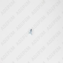 Clips de vase 110386