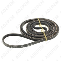 Correa 1910j3 , 03850124