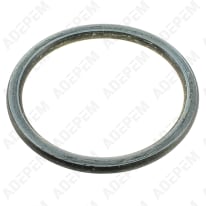 Junta tórica bomba d=42mm 31x8354