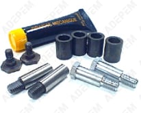 Gruppo cerniera porta