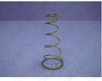 Apertura de la primavera