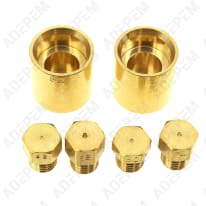 Inyectores de butano-propano 79X6513