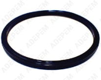 Junta del descalcificador