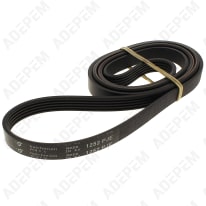 Correa 1252j5 = 5pje1252, 00439491