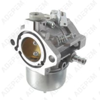 Carburador 698171