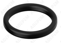 O-Ring 87002051570