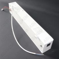 Guancia intera 089384