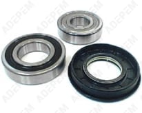 Cuscinetti + guarnizioni