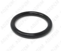 O-ring 5313220031