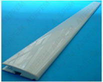 Perfil de la portada