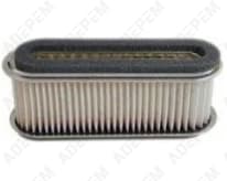 Filtro de aire 110132021