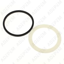 Juntas del recipiente de la batidora (2)