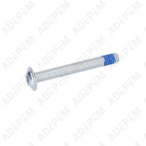 Vis à tête bombée torx 1613490011
