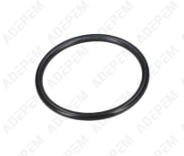 O-ring 1900210124