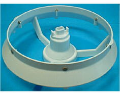 Sostenere lo stupro 00652366 image