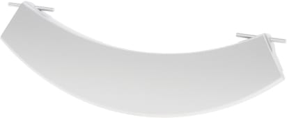 Mango 12005088 original image