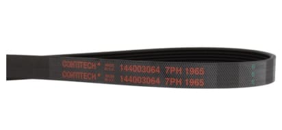 1965h7 correa c00297210 image