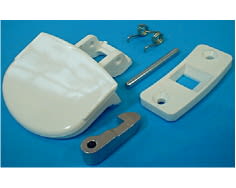 Asa de ojo de buey blanca image