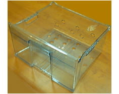 Ampio cestello per il congelatore image