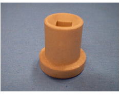 Allenatore di sputi image