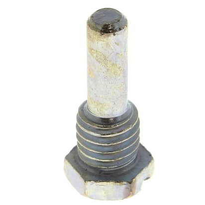 Perno della cerniera image