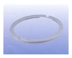 Embellecedor de portillo interior 481953228161 image