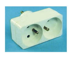 Biplite rettilinea 16a image