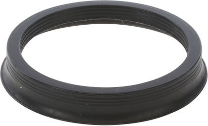 Sigillo originale 00613787 image