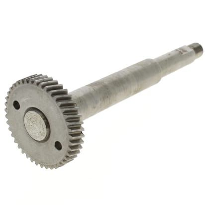 Pignone + albero della carcassa image