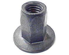 Boccola del piede anteriore image