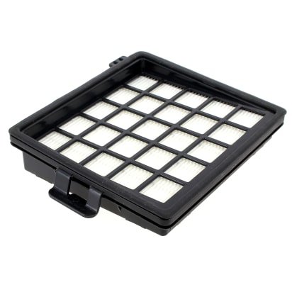 Filtro Hepa 422245946161 image