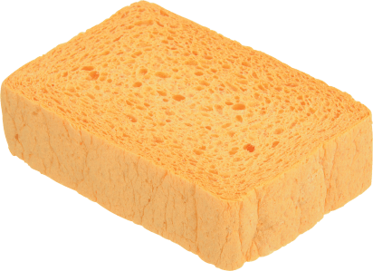 Esponja vegetal de tradición 00623653 origen image