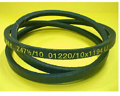 Cinturón 10x1220 image